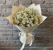 Букет цветов из:  Ромашки в Архангельском Ставропольского края