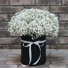 Цветочная композиция из Гипсофила в шляпной коробке в Архангельском Ставропольского края