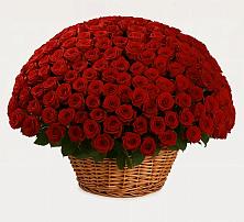 Премиум букет из: Розы в Архангельском Ставропольского края